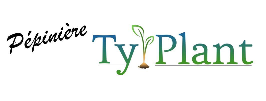 Ty plant