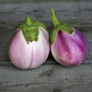 Aubergine ‘Rosa Bianca’