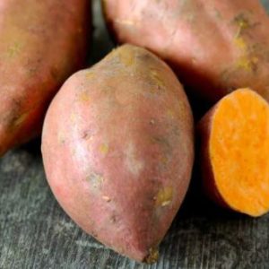 Patate douce ‘Beauregard’