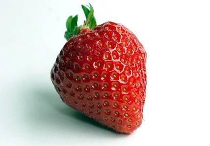 Fraisier Cirafine