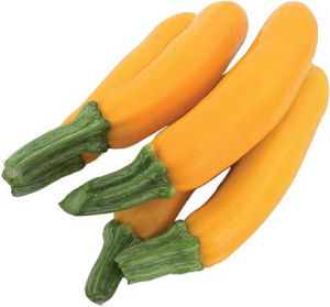 Courgette jaune (variété population)
