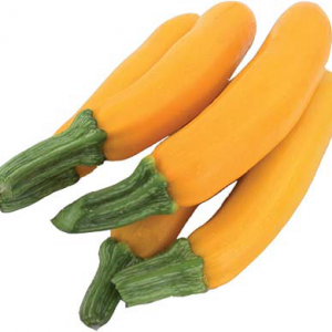 Courgette jaune (variété population)