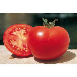 Tomate Saint-Pierre