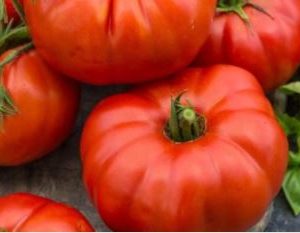 Tomate beefsteack