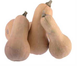 Courge butternut