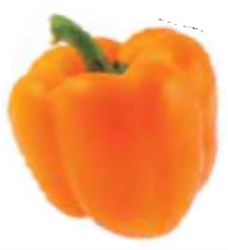 Poivron california wonder orange