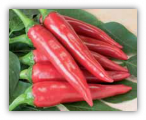Piment de cayenne