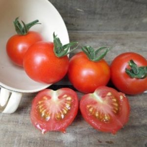 Tomate cerise Miel du mexique