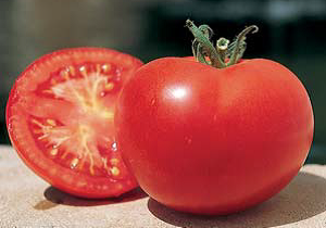Tomate St Pierre
