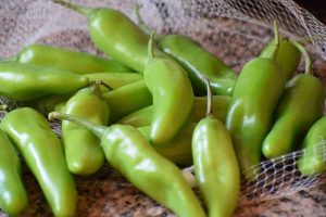 Piment végétarien