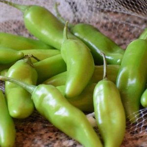 Piment végétarien