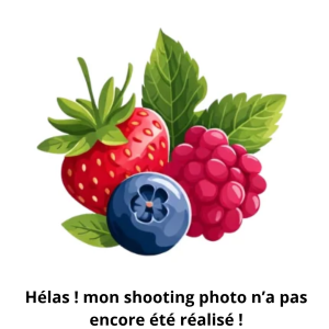 Fraisier Gariguette