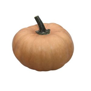 Courge Carat