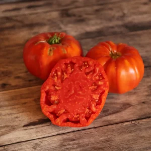 Tomate Couilles de taureau